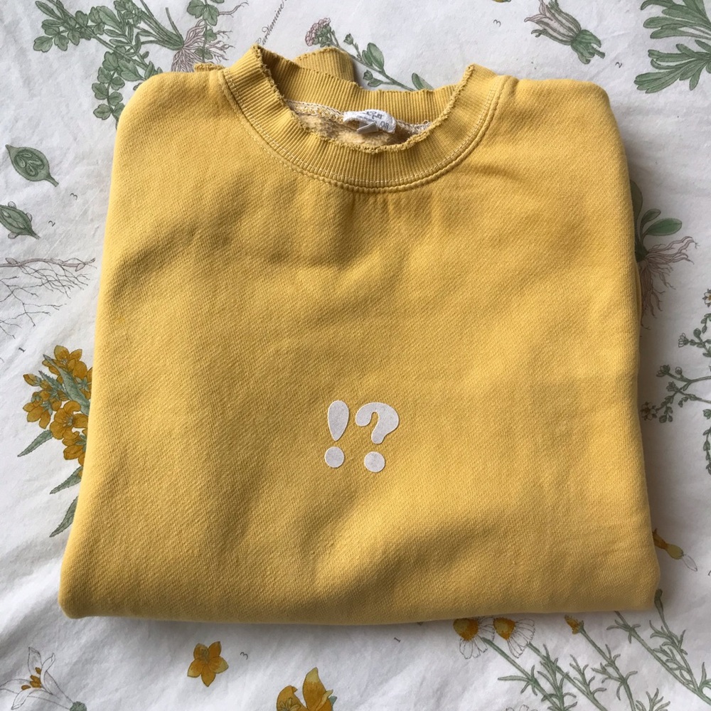 Brandy Melville Sweatshirt